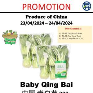 Sheng Siong Vegetables Promotion (23-24 Apr 2024)