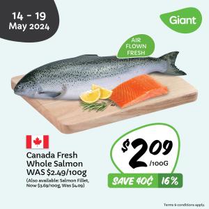 Fresh Canadian Salmon at Giant - Limited Time Promotion from May 14-19, 2024